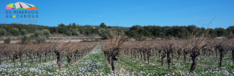 Tourisme Minervois-Caroux - Ferrals Les Montagnes