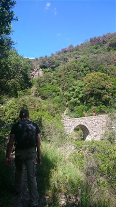 PR Minerve